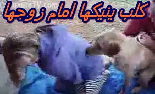 كلب ينيكها امام زوجها الديوث و يساعده فى ذلك سكس حيوانات